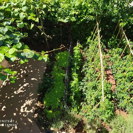 아파트 With Wifi - 12862