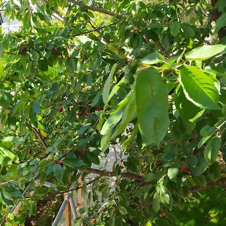 아파트 With Wifi - 12862