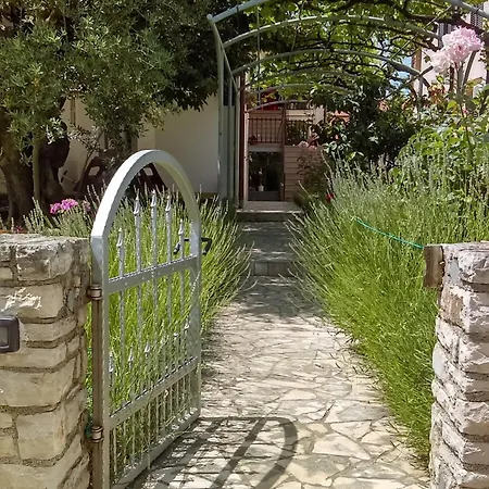 With Wifi - 12862 파자나