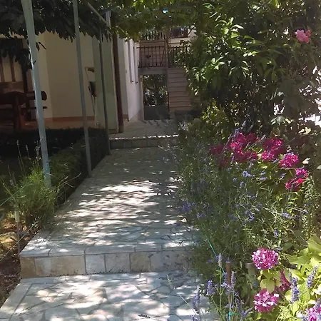 With Wifi - 12862 * 파자나