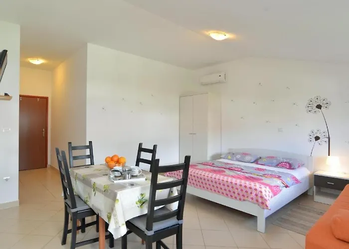 With Wifi - 12862 Fažana